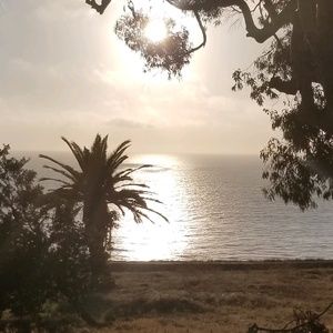 Meet your Posher, Pam